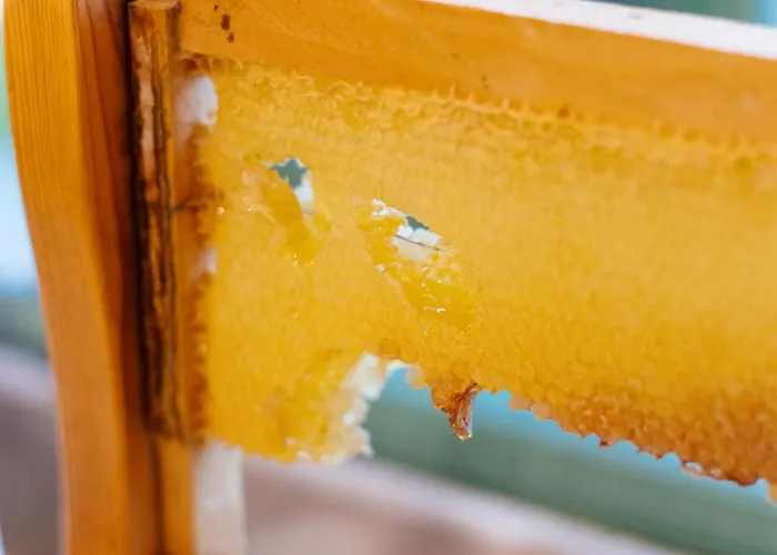 فندق وسبا هيبي غوريمِيه