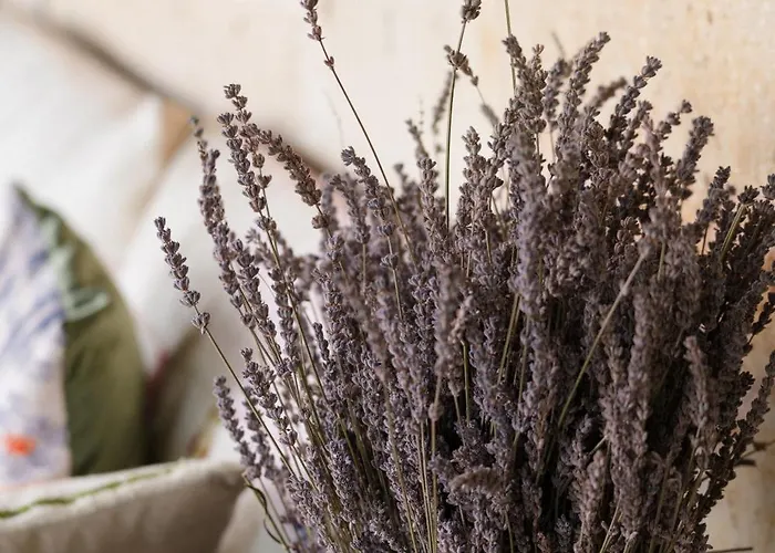 Hotel Heybe Hotel&spa 3*